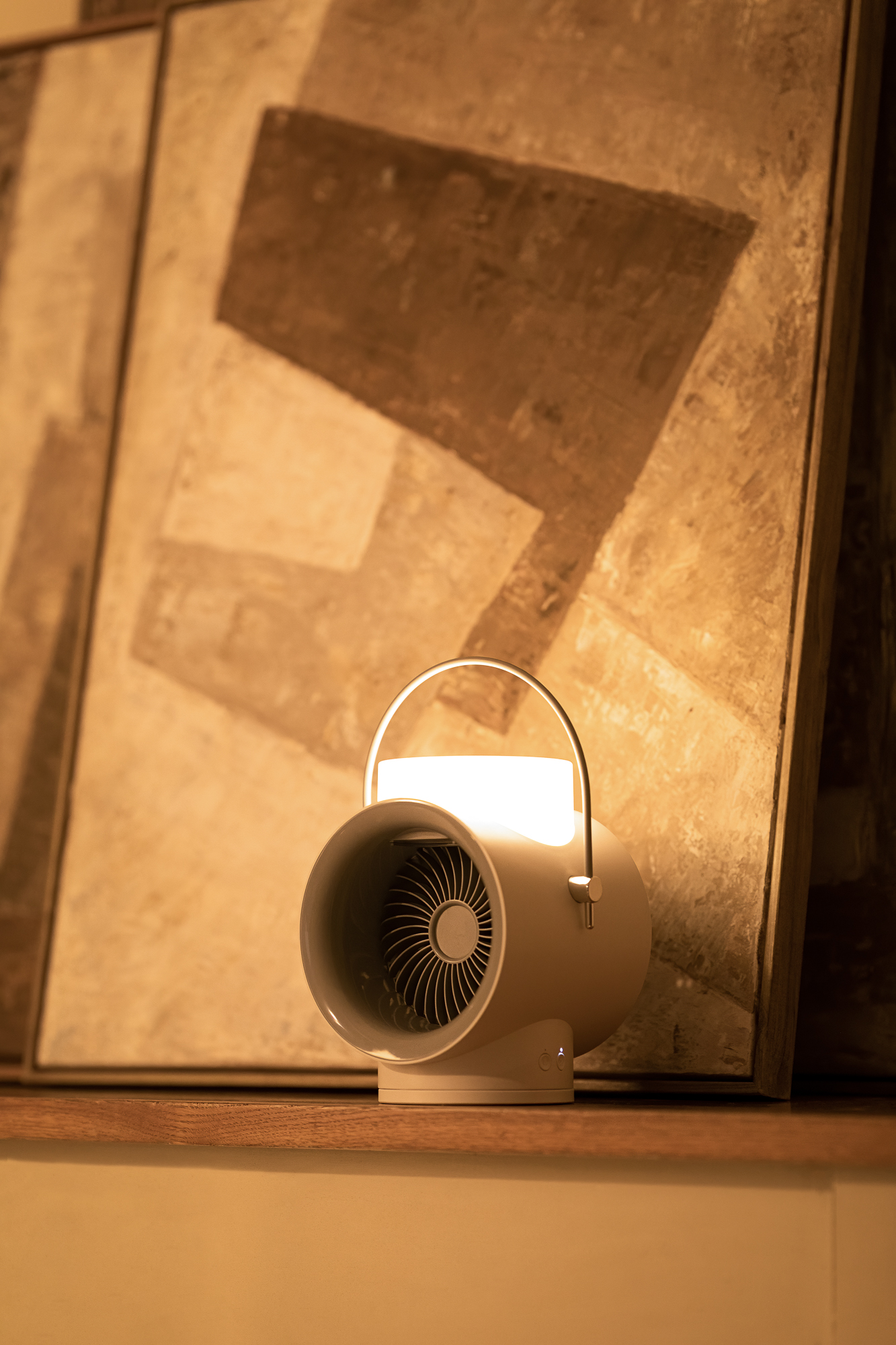 Fan，Shaking fan，Humidifier，Atmosphere lamp，Night light，