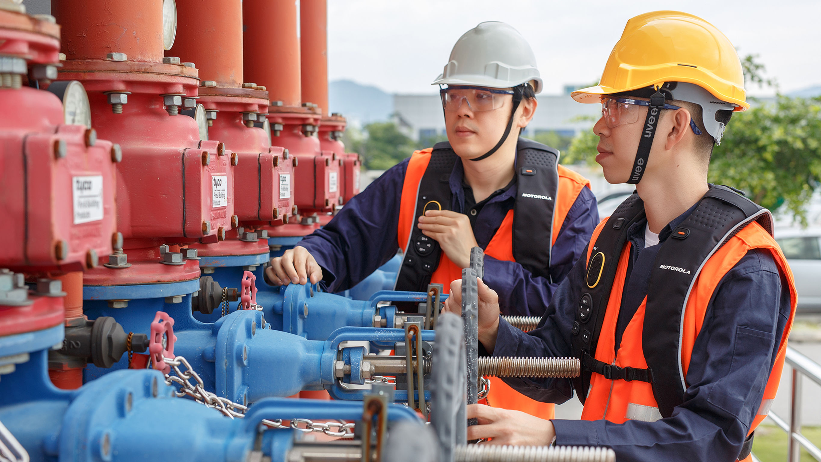 two thousand and eighteen，if，gold prize，