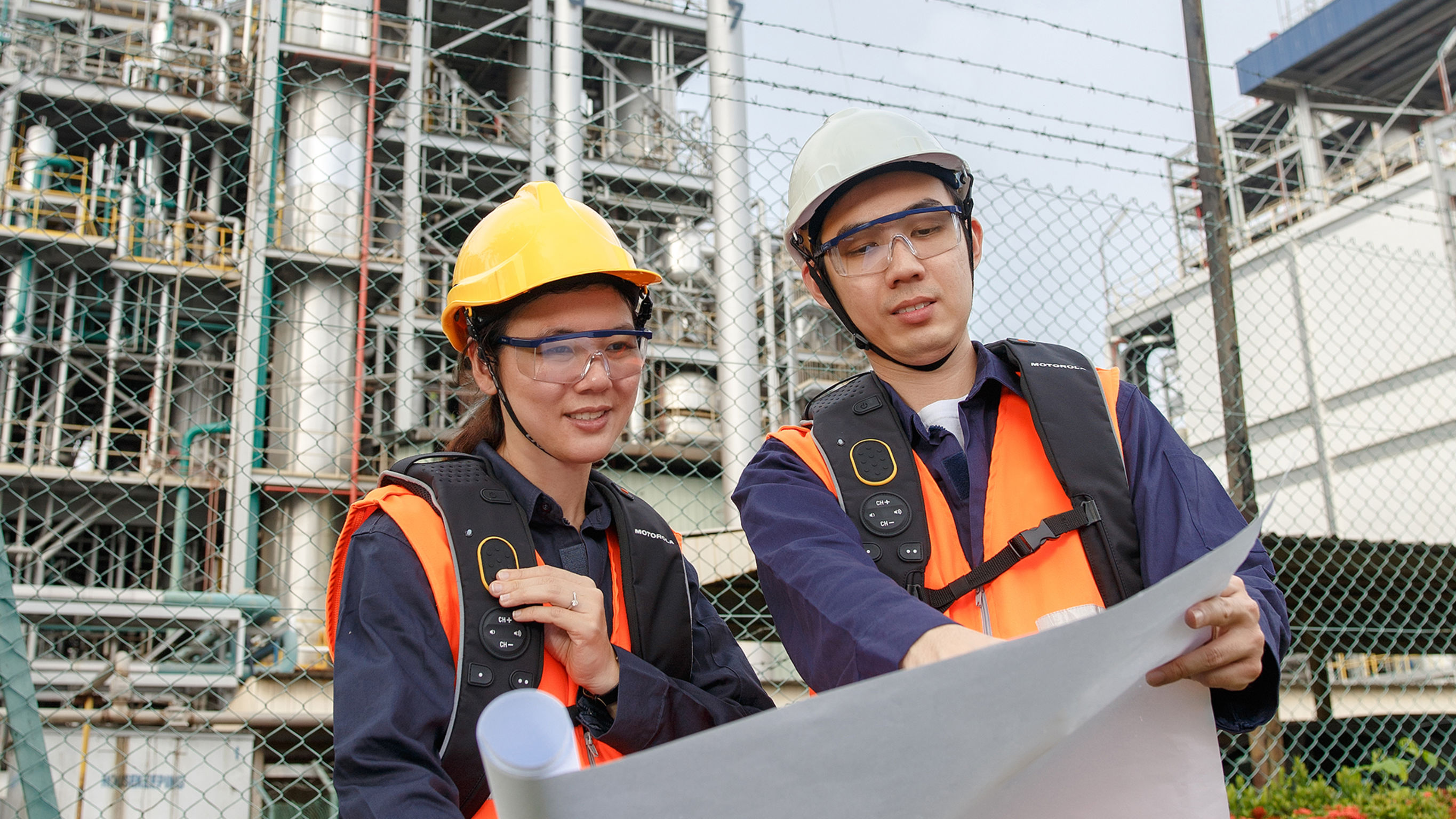 two thousand and eighteen，if，gold prize，