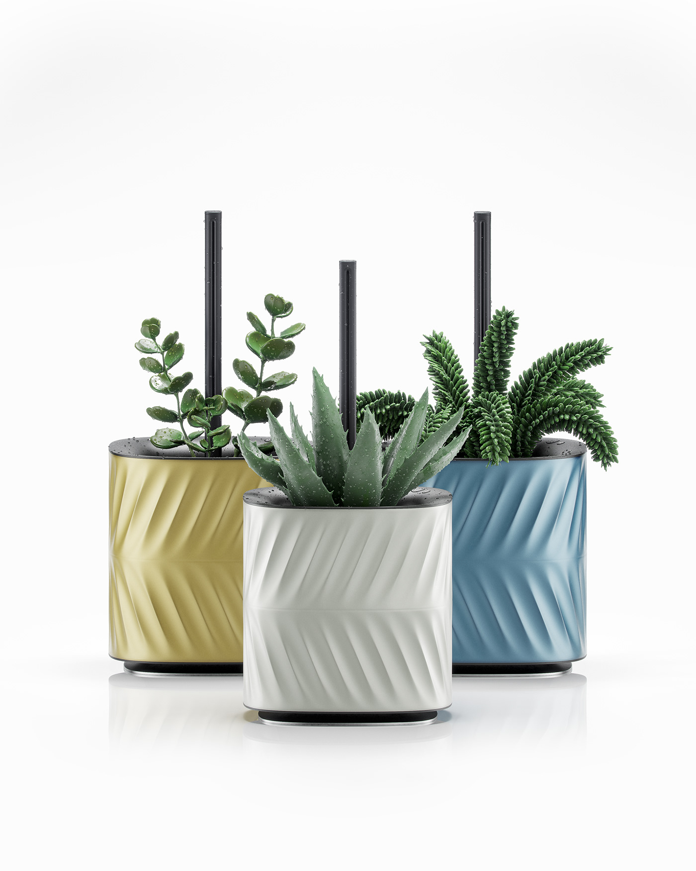 watering，product design，Botany，Model，product，industrial design，