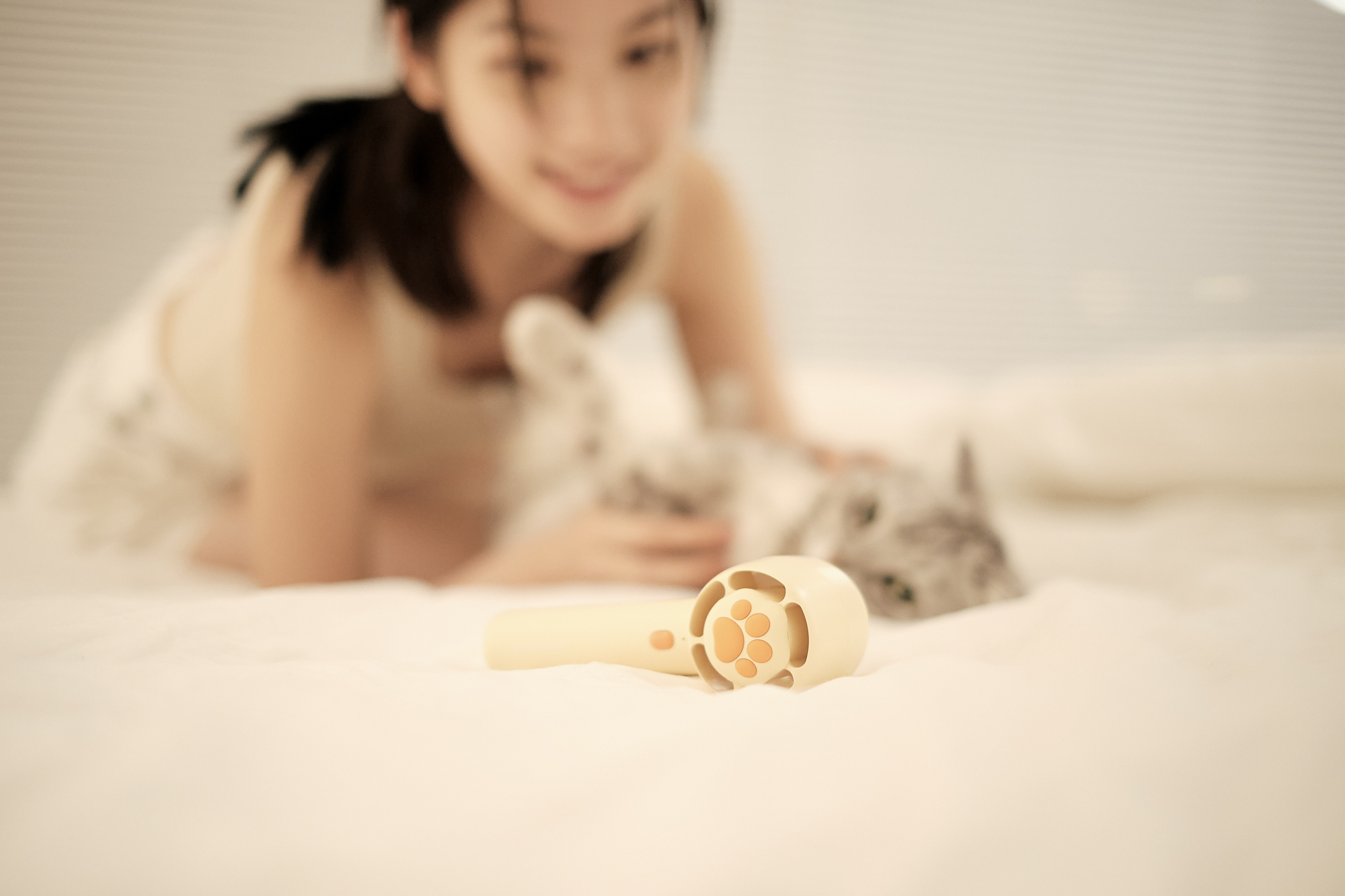 Cat claw，Small fan，Fan，