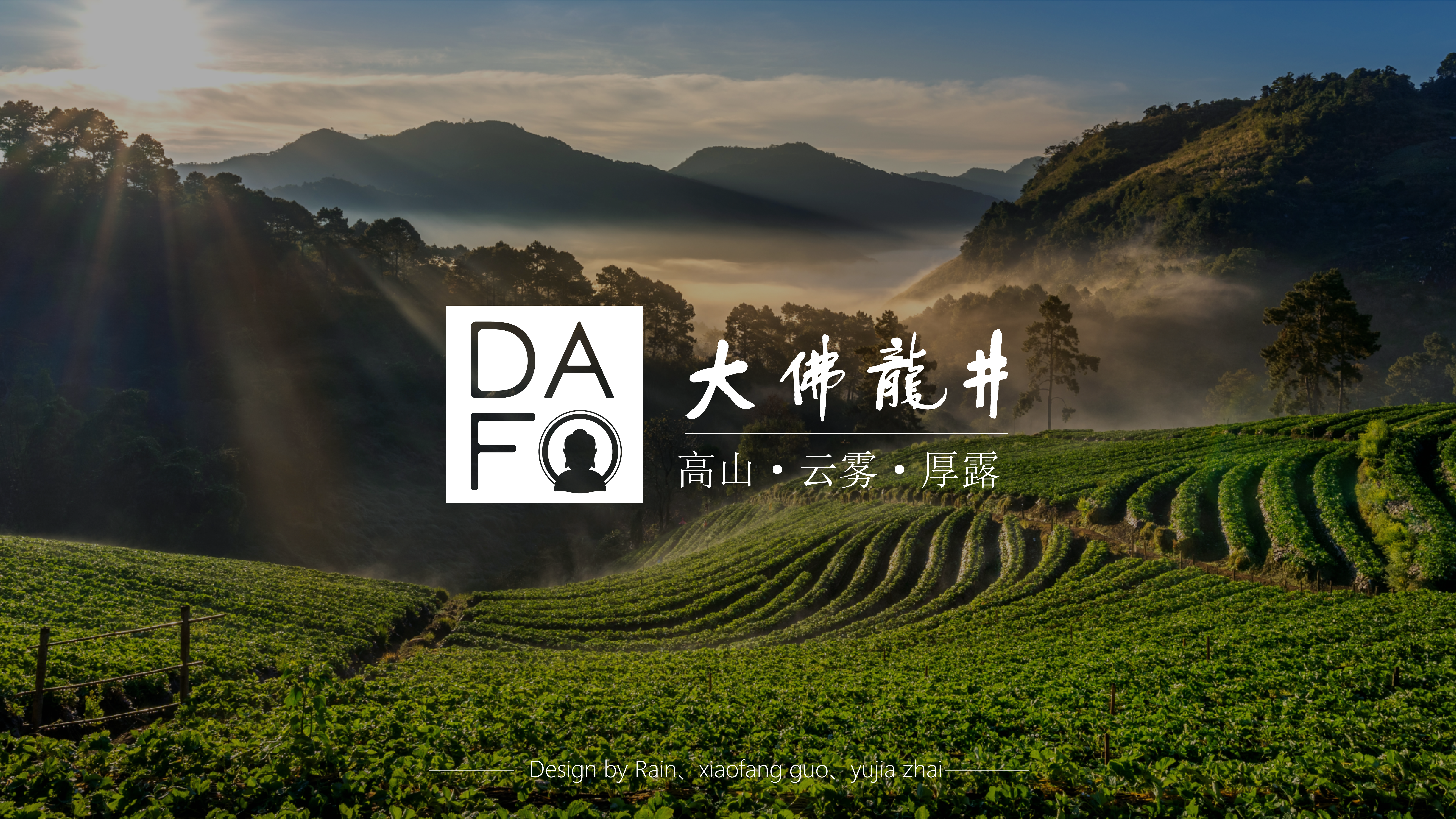 packing design，Great Buddha，Longjing tea，Tea，Design，