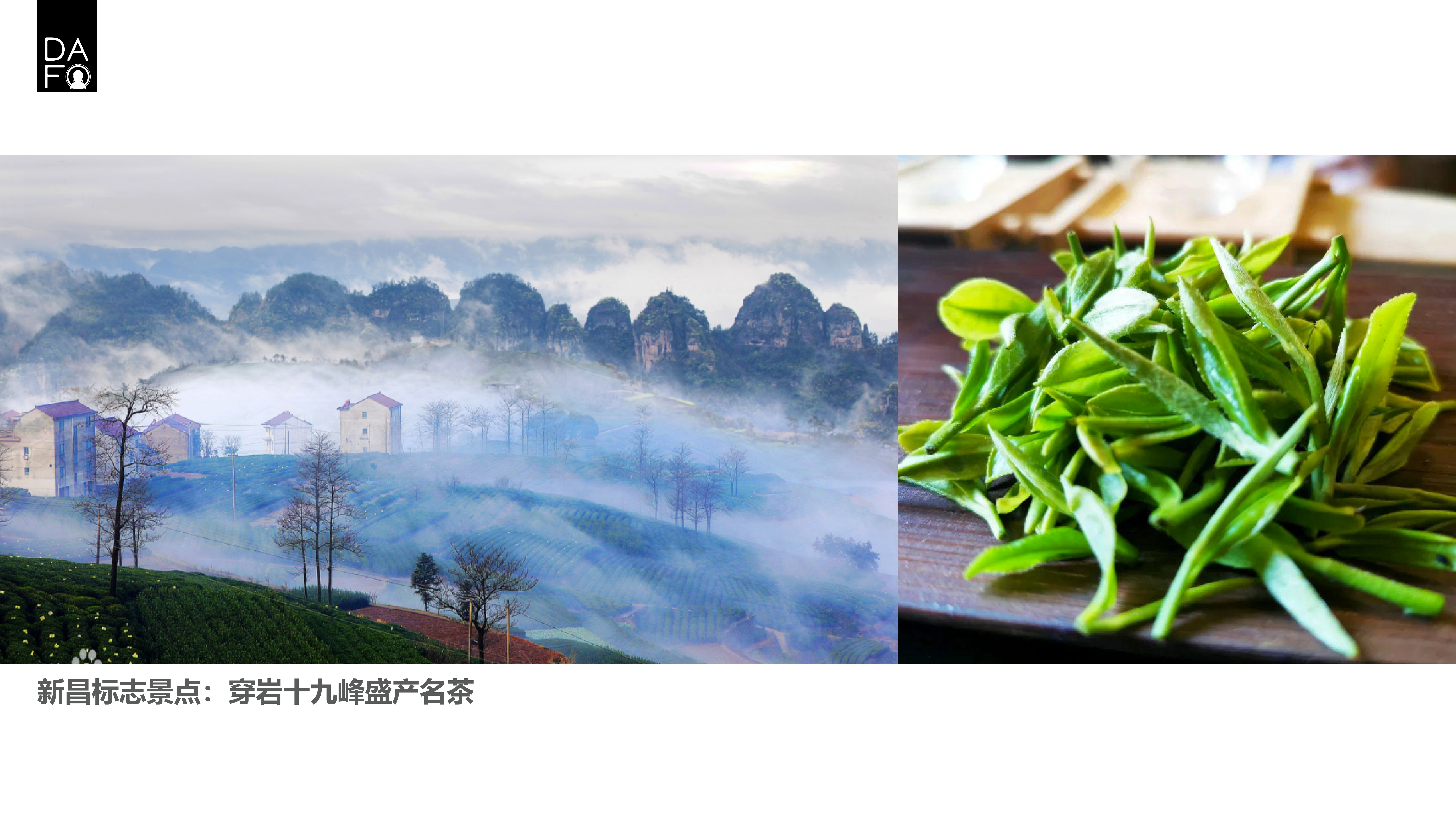 packing design，Great Buddha，Longjing tea，Tea，Design，