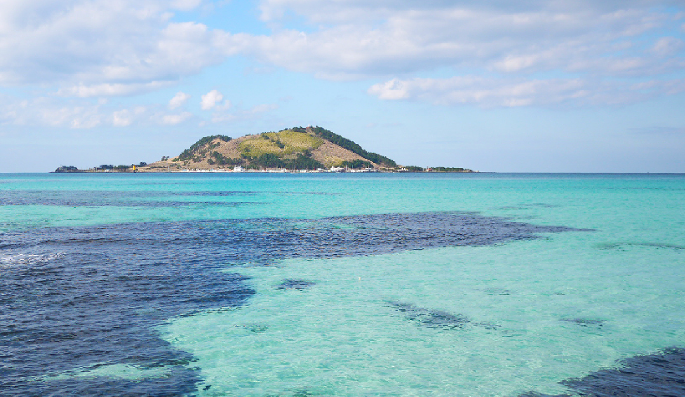 PADO，Agitator，Button，Electric，