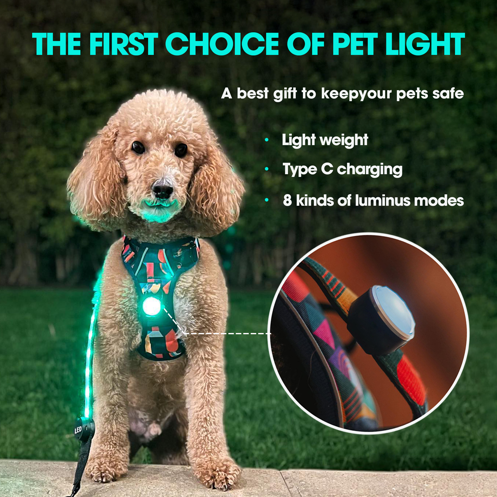 Pets，led，outdoor light，dog，Warning light，