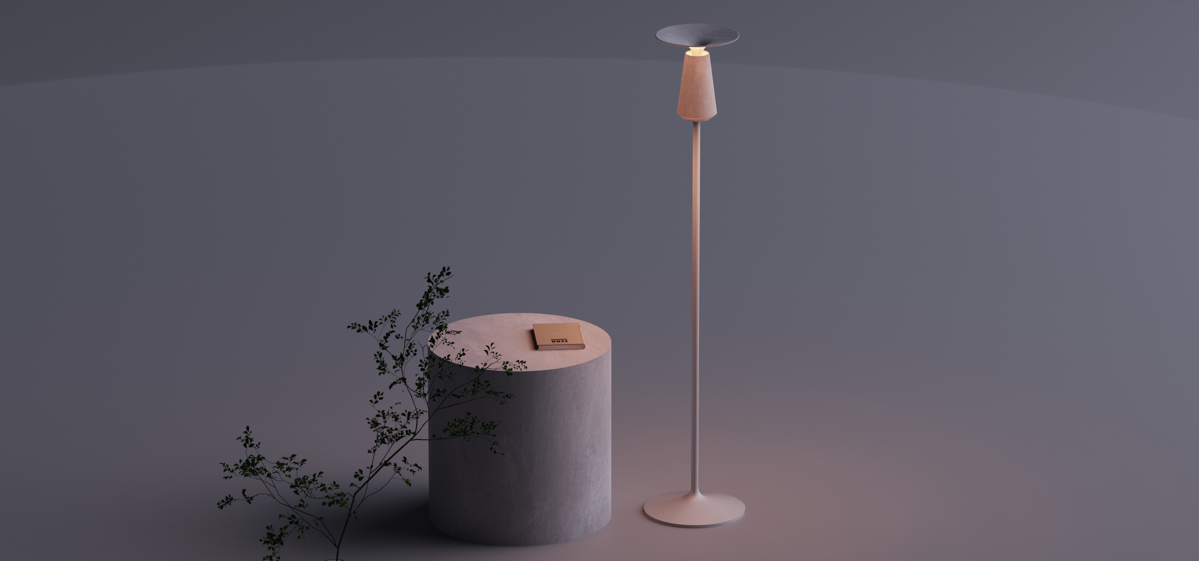 lamp，Desk lamp，Floor lamp，a chandelier，flame，