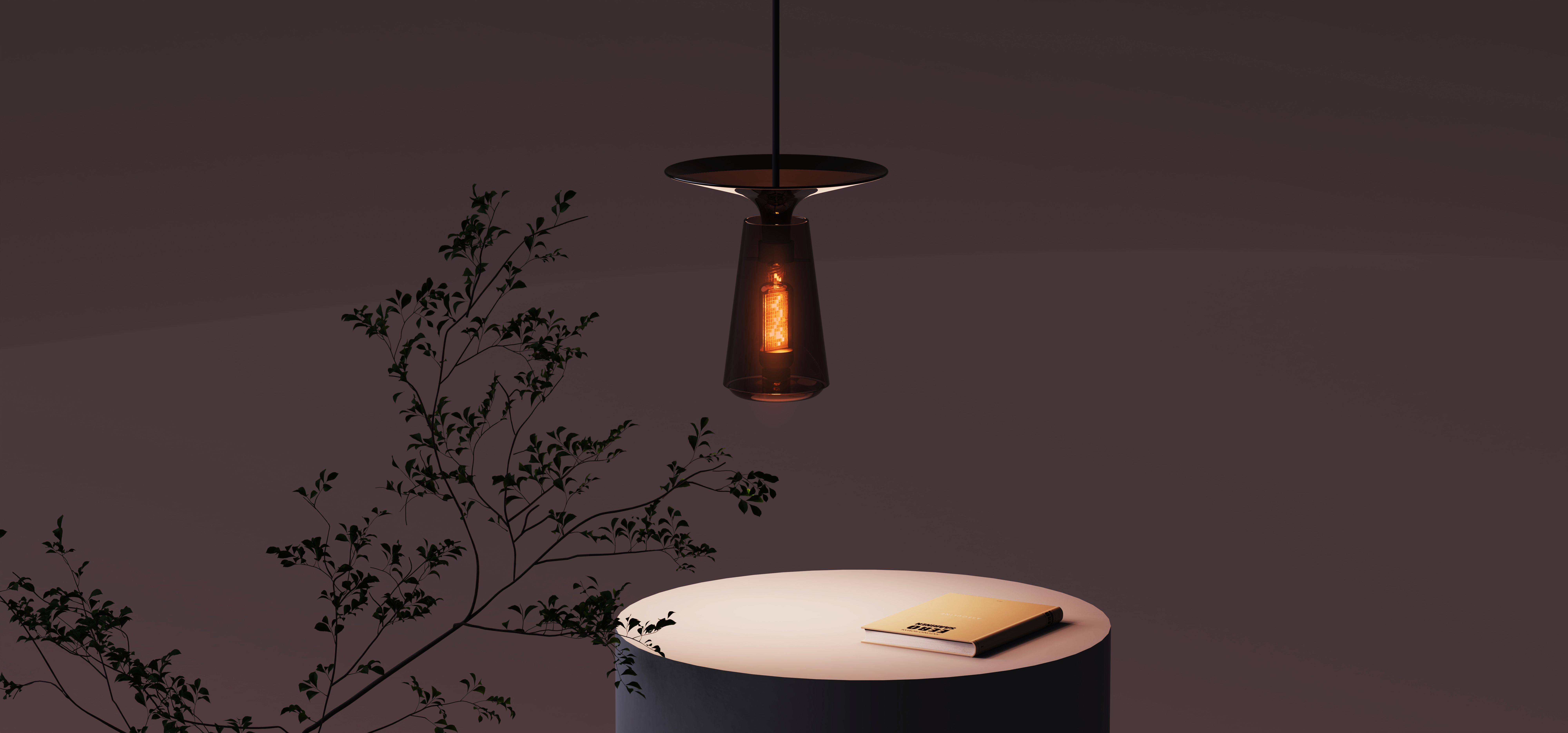 lamp，Desk lamp，Floor lamp，a chandelier，flame，