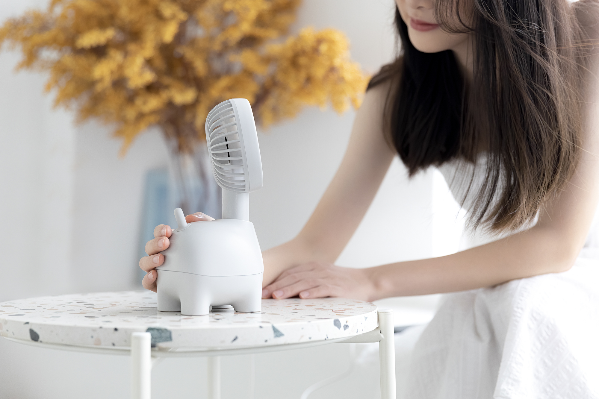 Find fun，Shake your head，Fan，