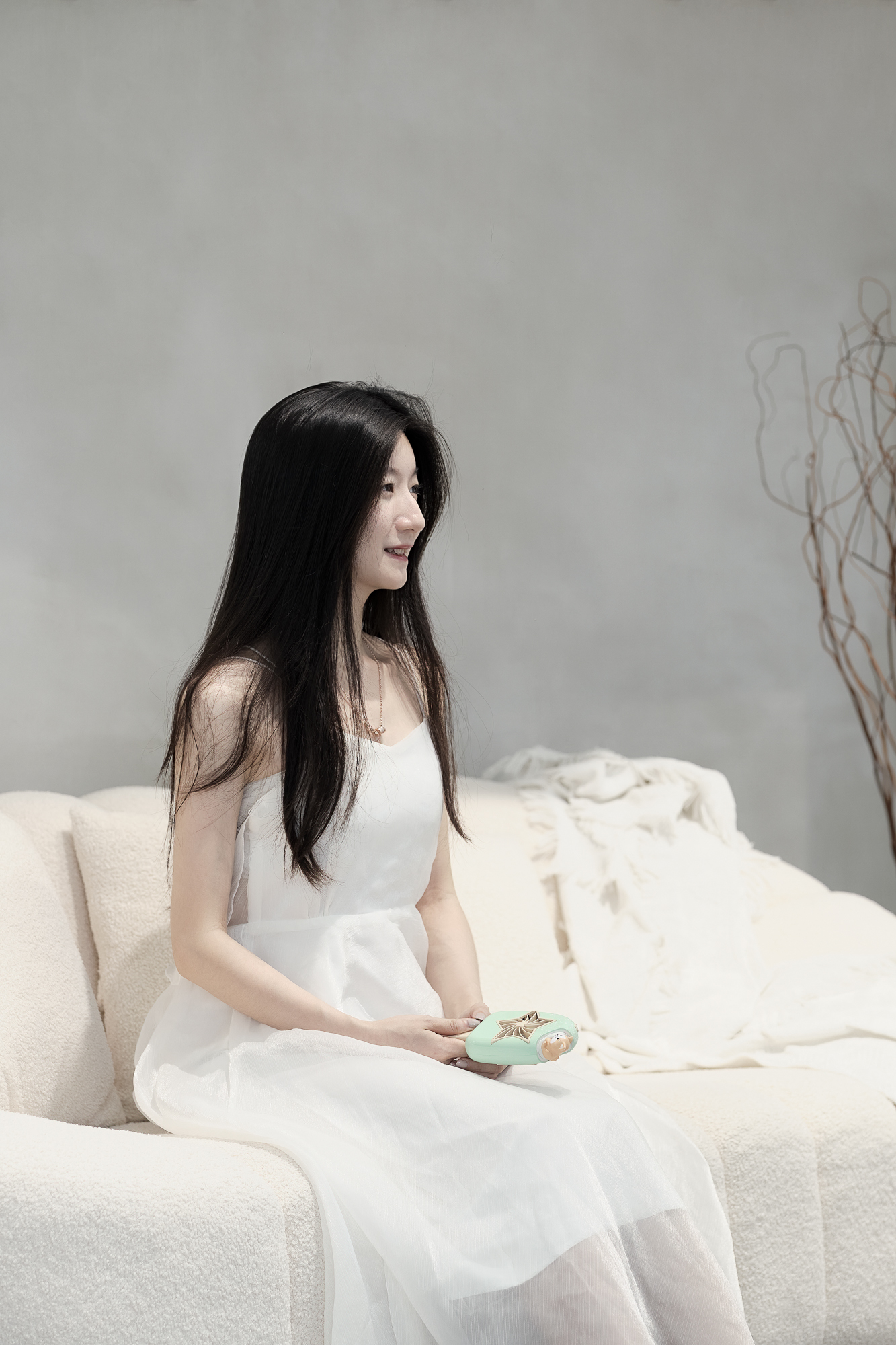 Butter cat，Ice cream，Fan，