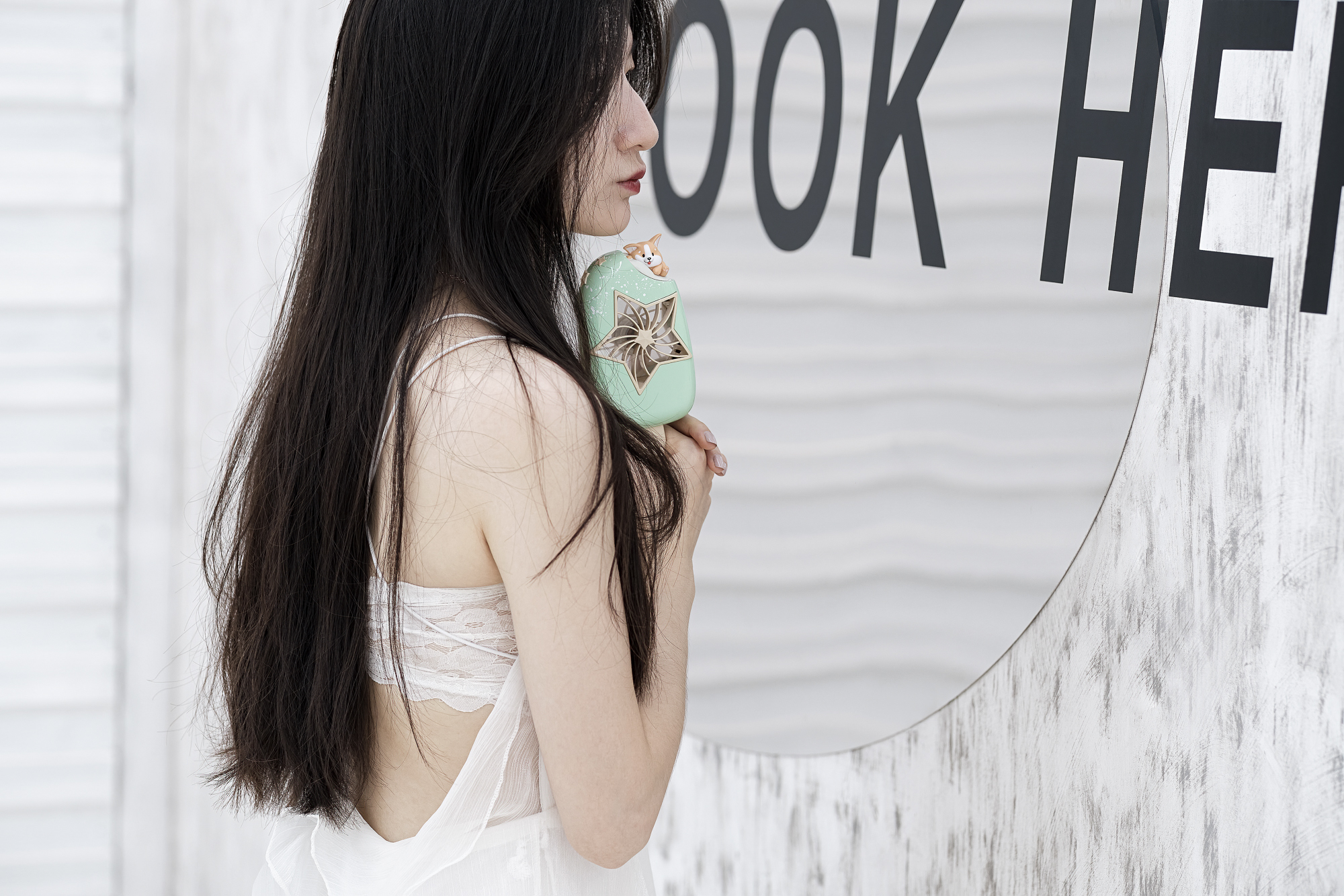 Butter cat，Ice cream，Fan，