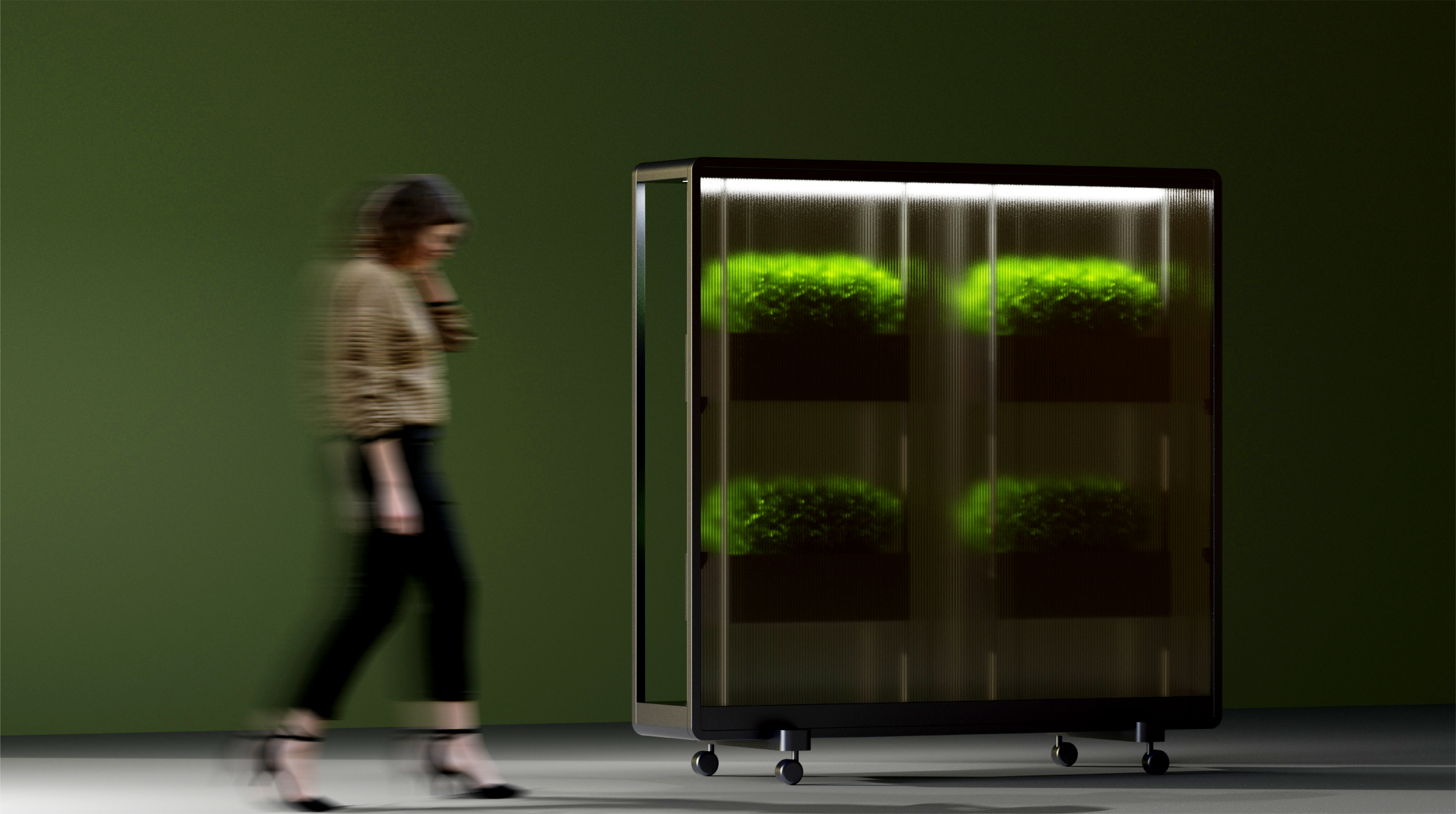 office，work，Interior design，Northern Europe，photosynthesis，modern，Fashion simplicity，Perpetual，