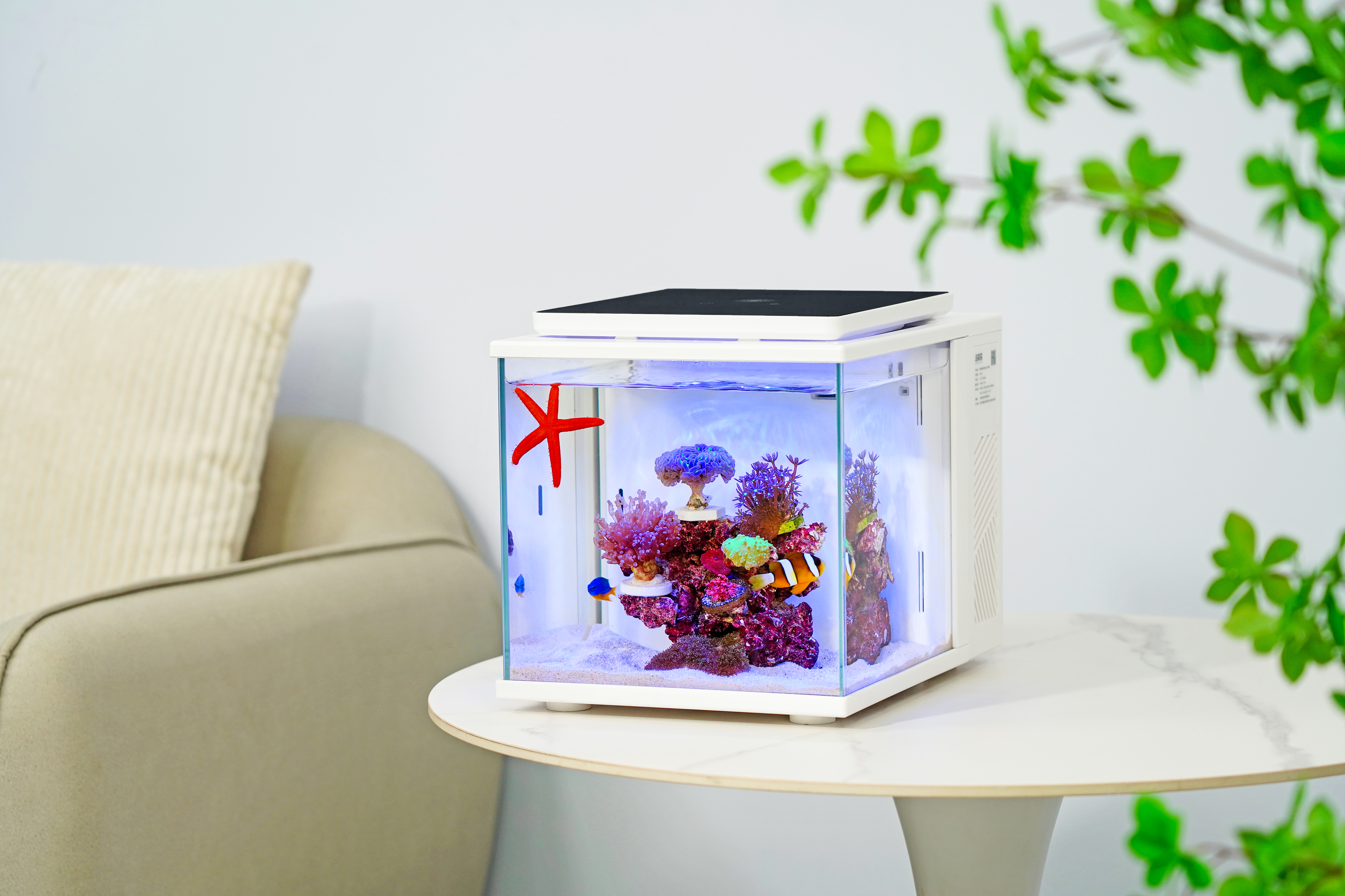 fish tank，intelligence，Sea tank，