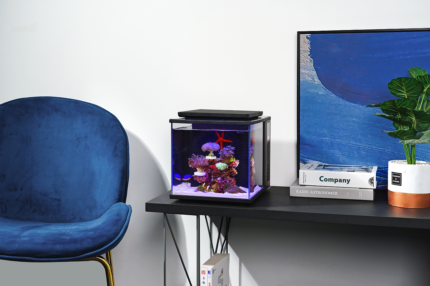 fish tank，intelligence，Sea tank，