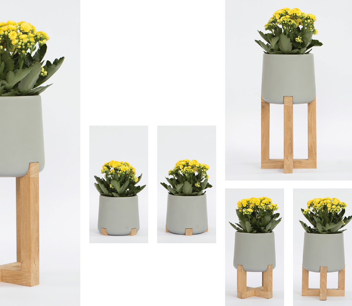 Basin family，Hydroponic culture，Flowerpot，woodiness，concrete，