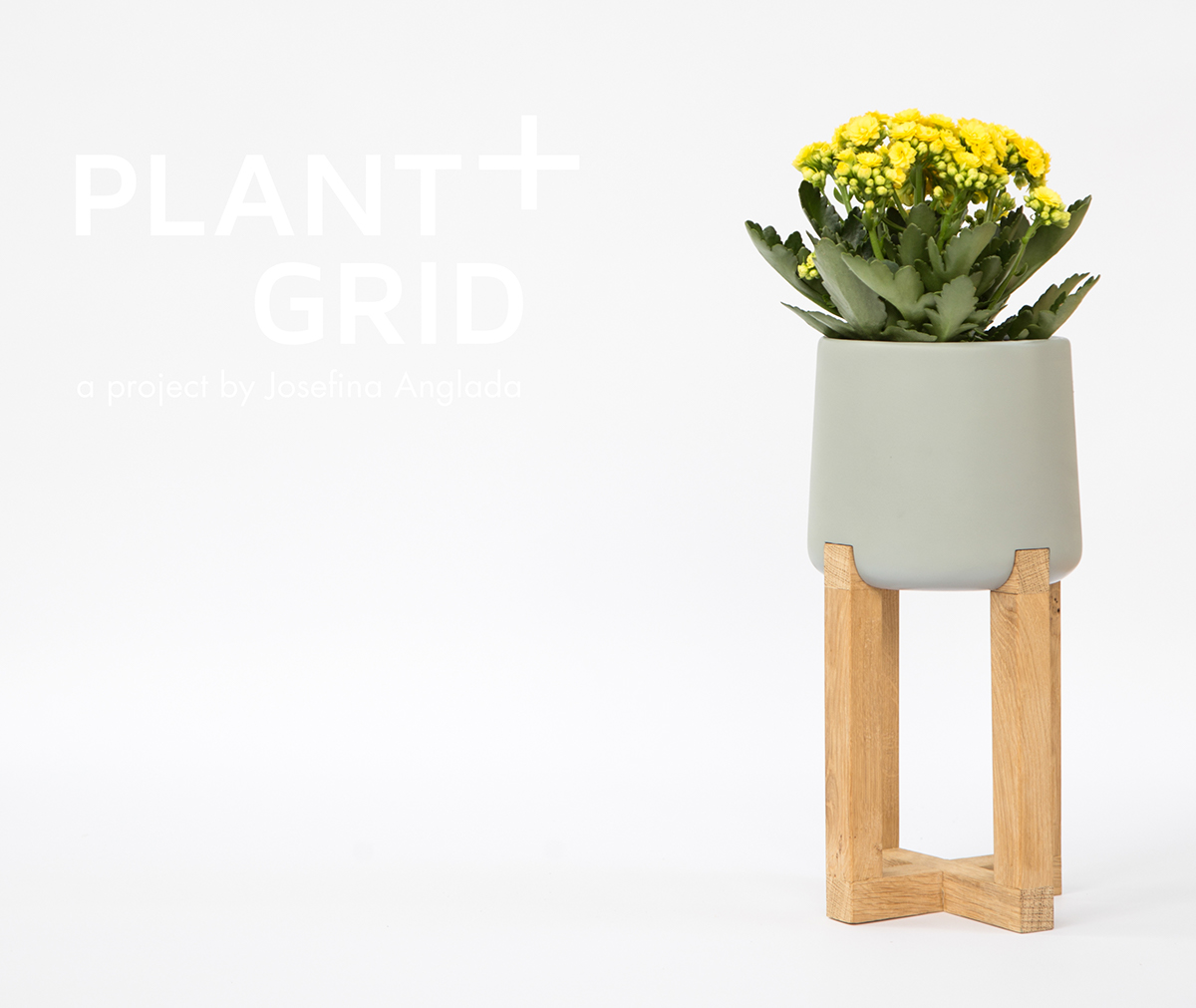 Basin family，Hydroponic culture，Flowerpot，woodiness，concrete，