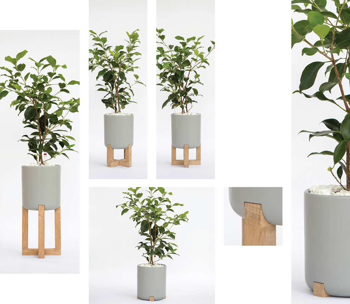 Basin family，Hydroponic culture，Flowerpot，woodiness，concrete，