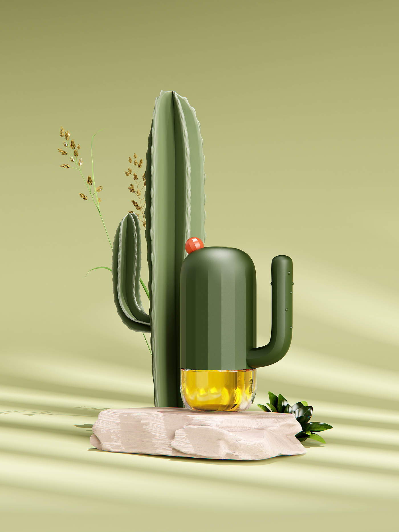 cactus，Oil pot，