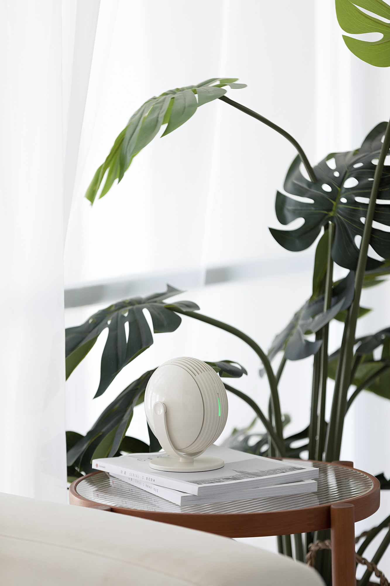Live，desktop，Fan，