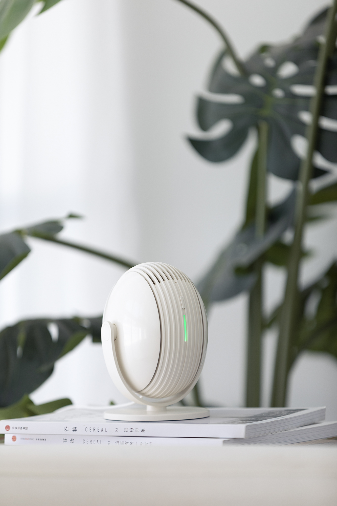 Live，desktop，Fan，