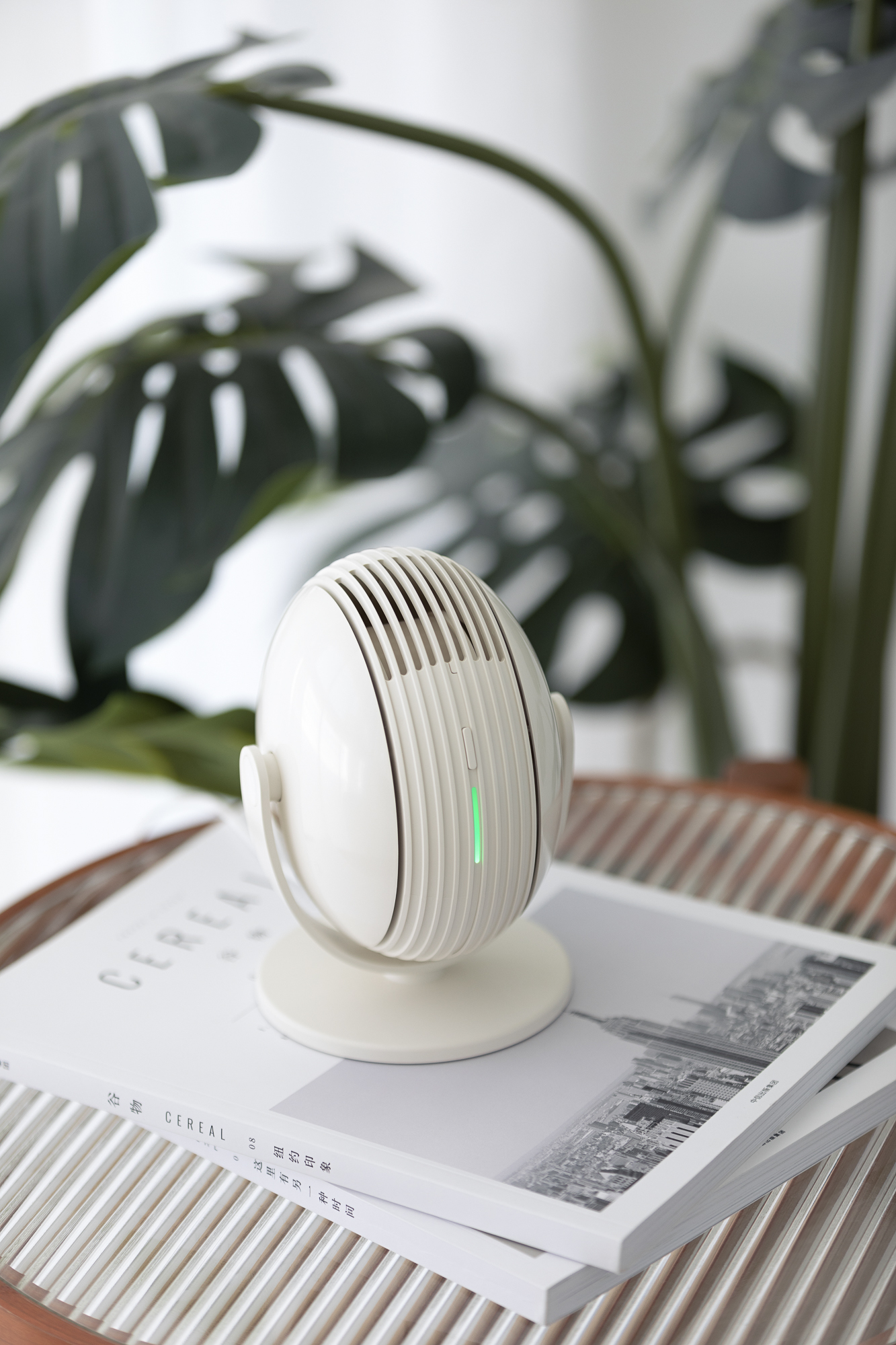 Live，desktop，Fan，