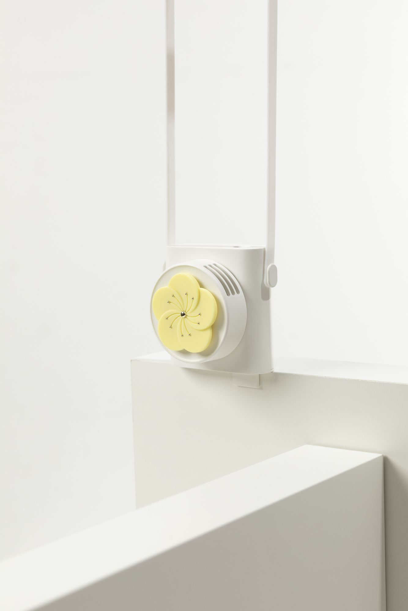 Live，halter ，Fan，