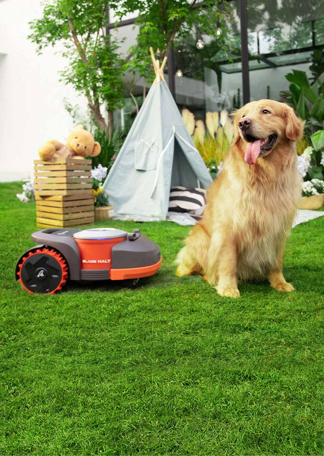 Mowing robot，segway，Hub motor，