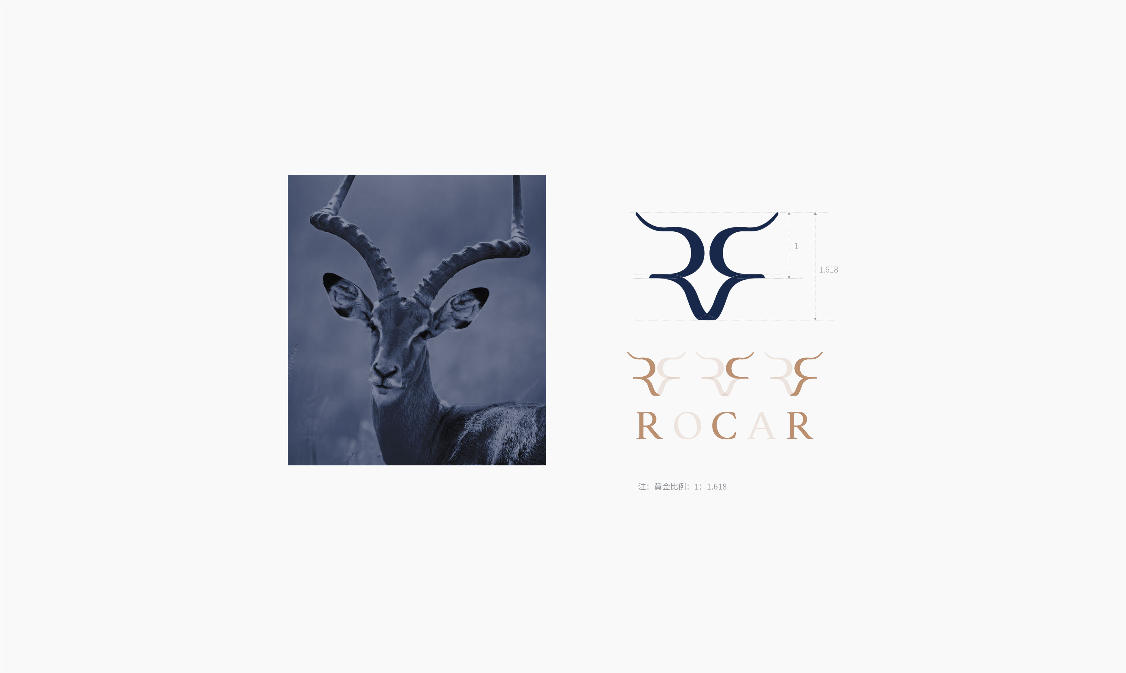 Brand design，packing design，Brand case，Intelligent Watch，Brand strategy，