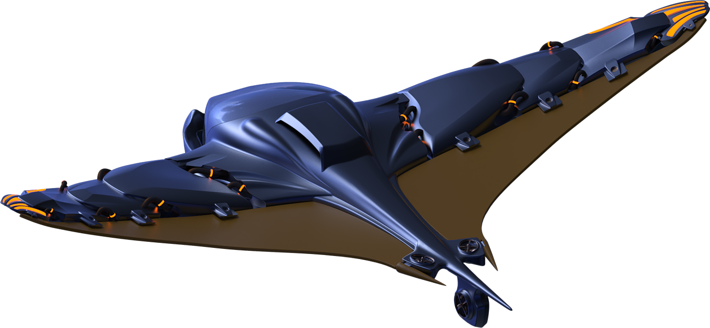 Bionics Design ，UAV，Graduation project，