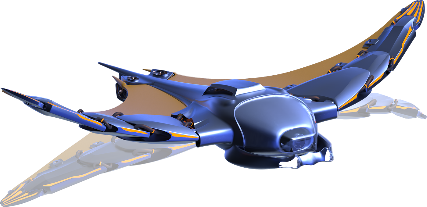 Bionics Design ，UAV，Graduation project，