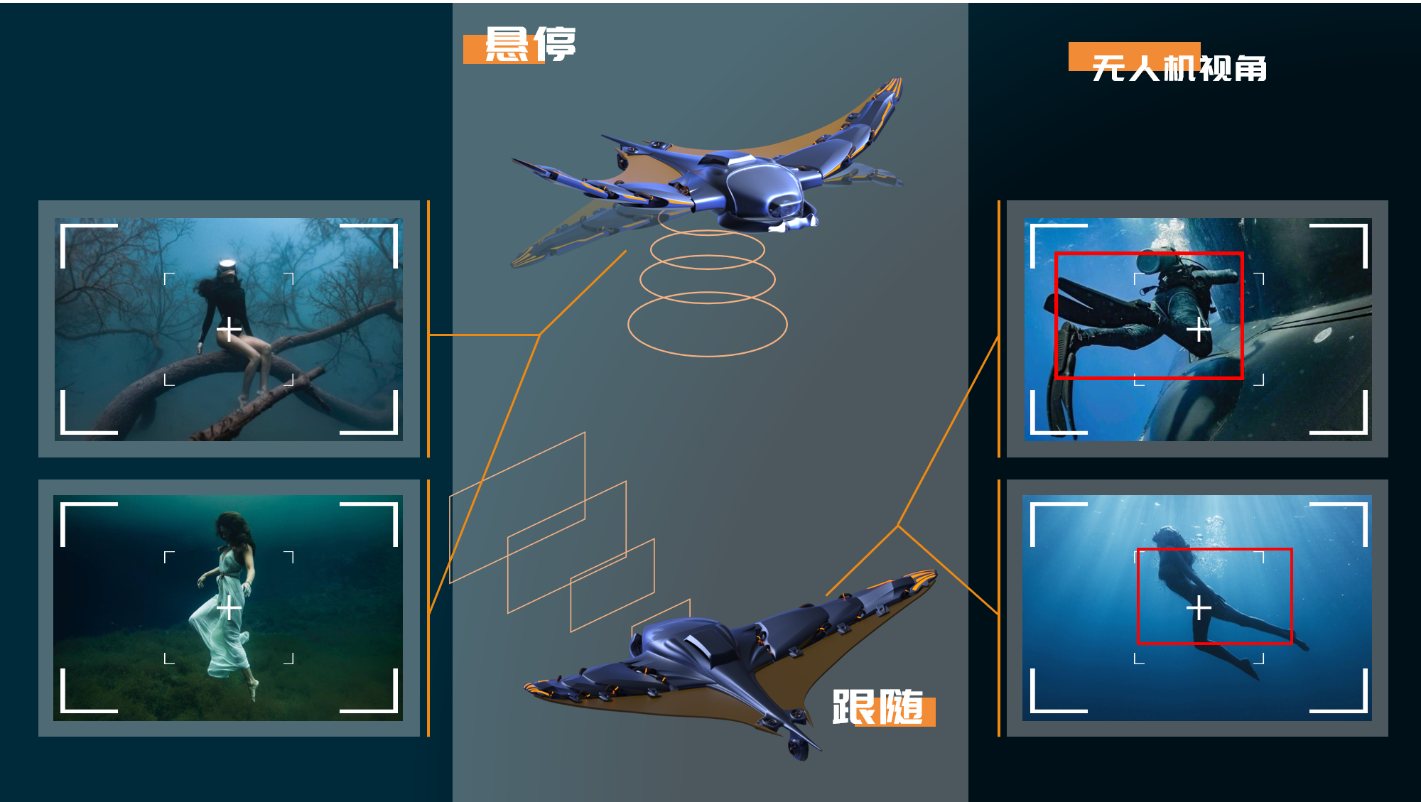 Bionics Design ，UAV，Graduation project，