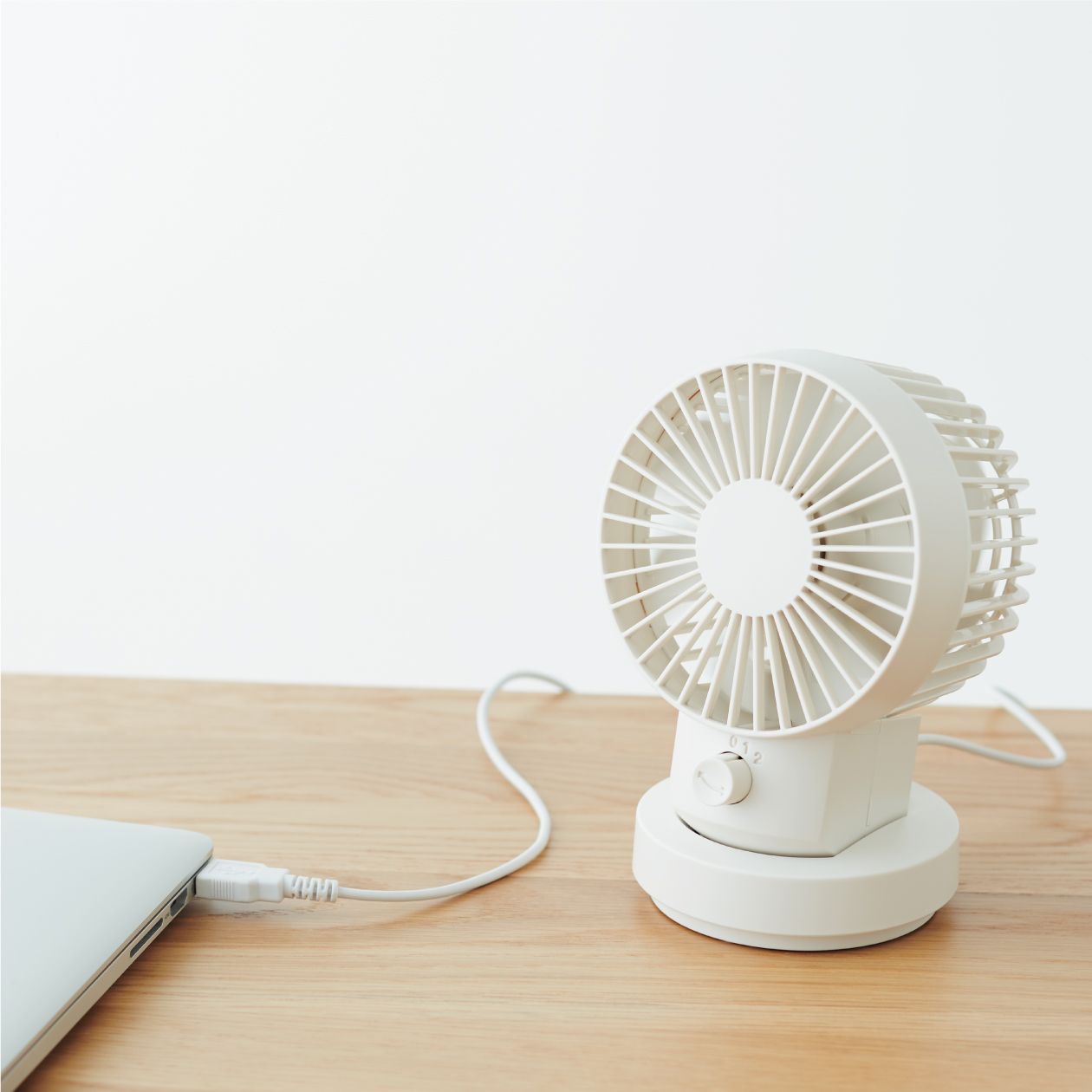 MUJI Fan，Fan，MUJI，