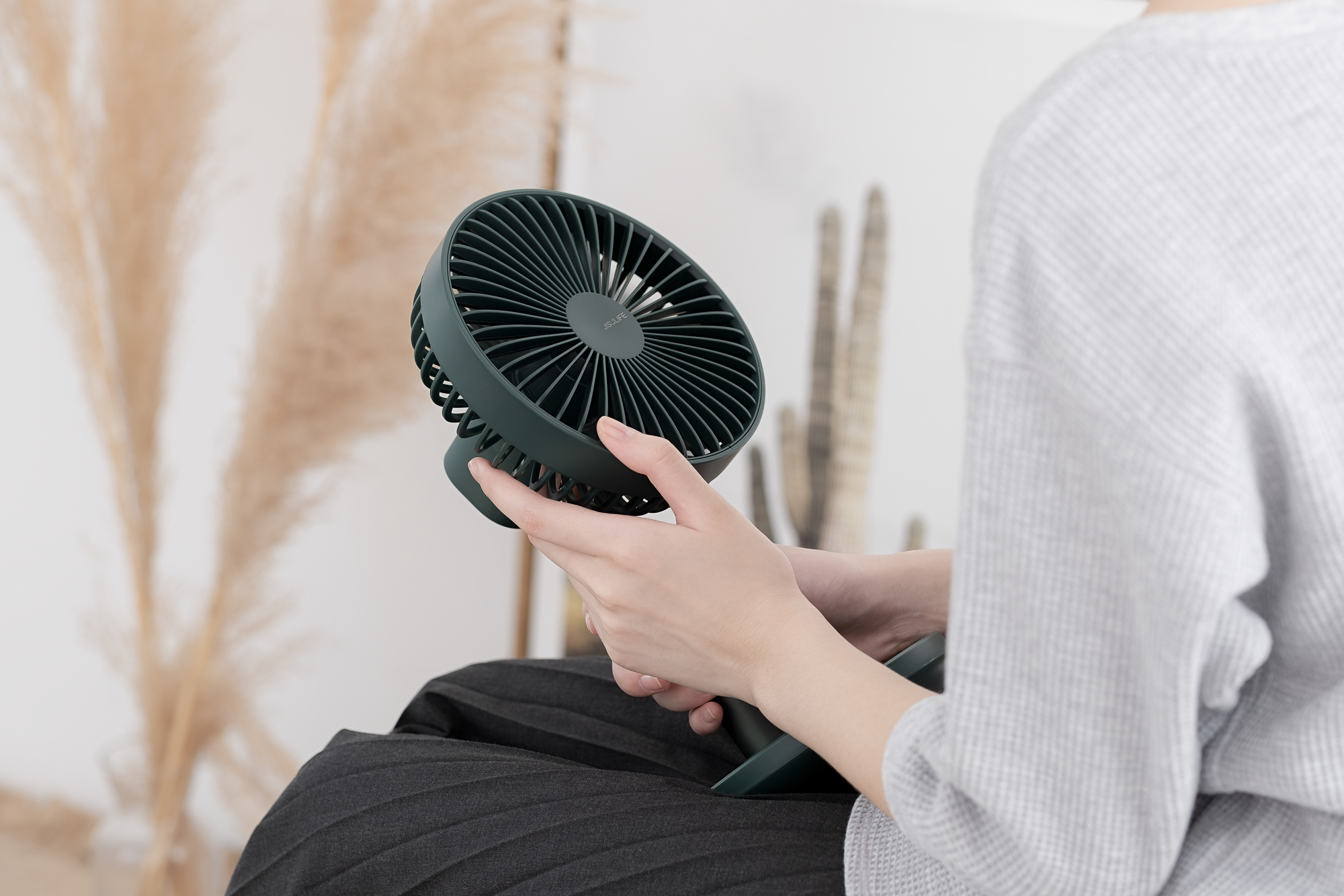 Several elements，desktop，Fan，