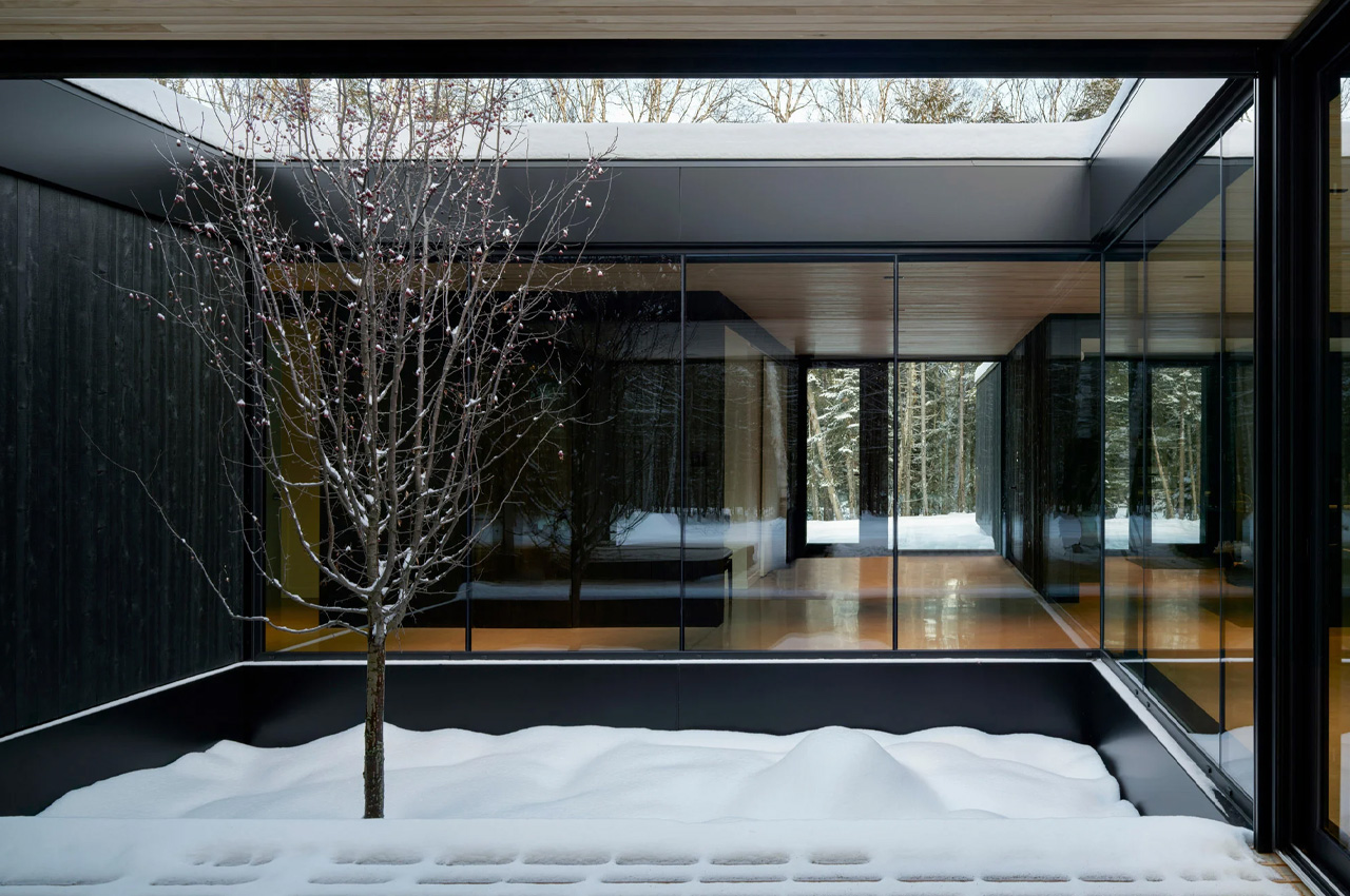 ACDF architectural studio，residence，Architecture，Interior design，