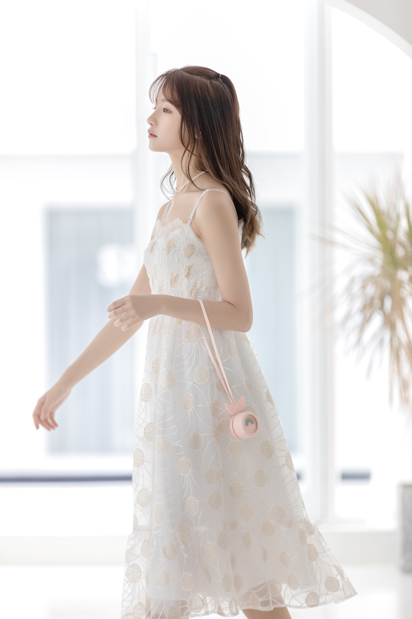 Live，halter ，Fan，