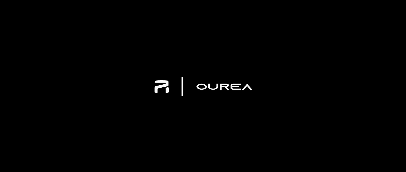 Feifan OUREA，Shanghai University，The 10th SAIC International Challenge，