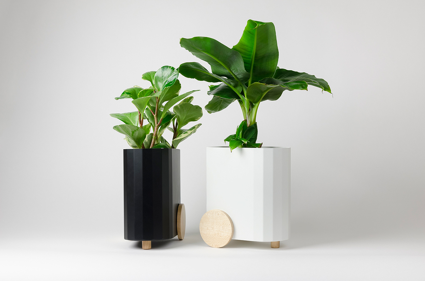 Froller，Potted plants，black and white，wood，