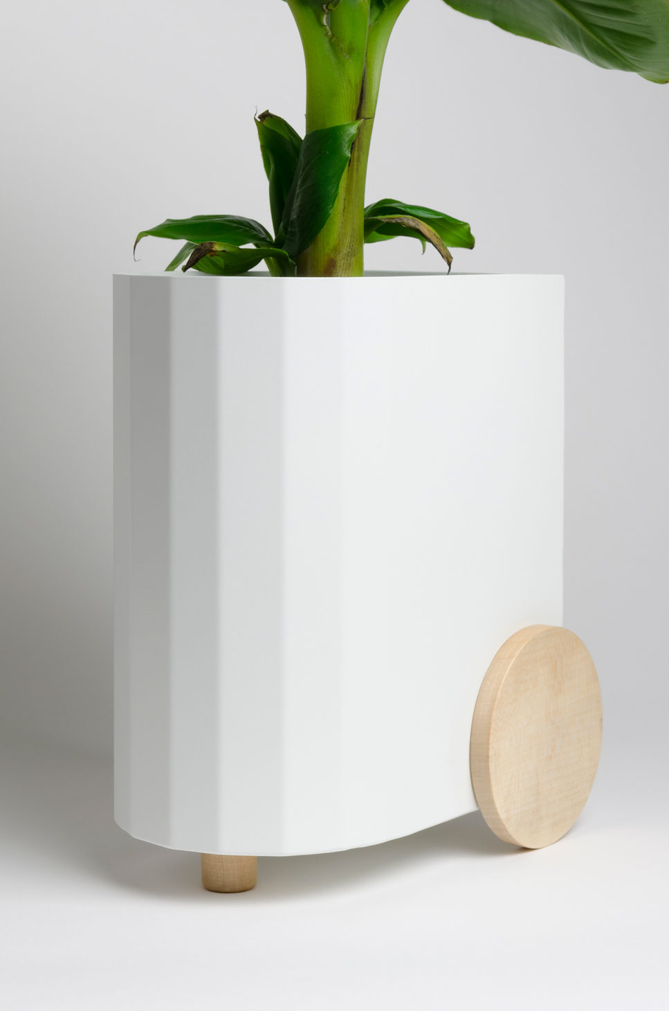 Froller，Potted plants，black and white，wood，