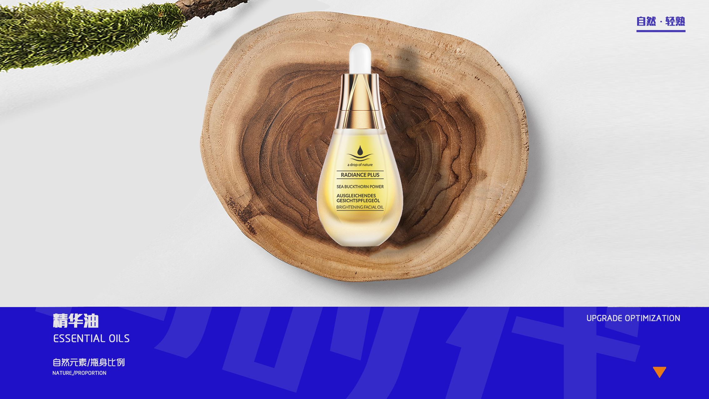 sample reels，21-22，Exhibition，