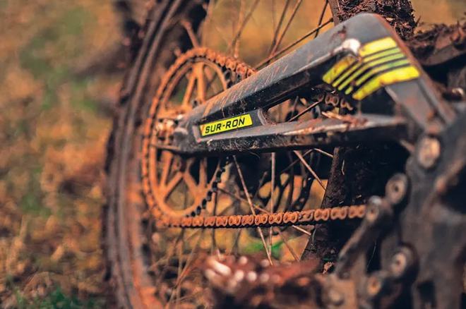 Light bee，legendary small dragon with horns，Electric vehicle，Bicycle，cross-country，red dot，