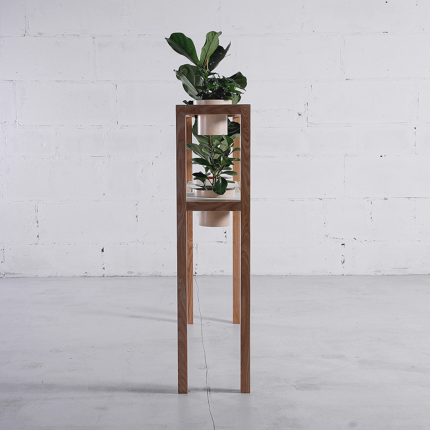 woodiness，Bracket，Sky garden，Flowerpot，