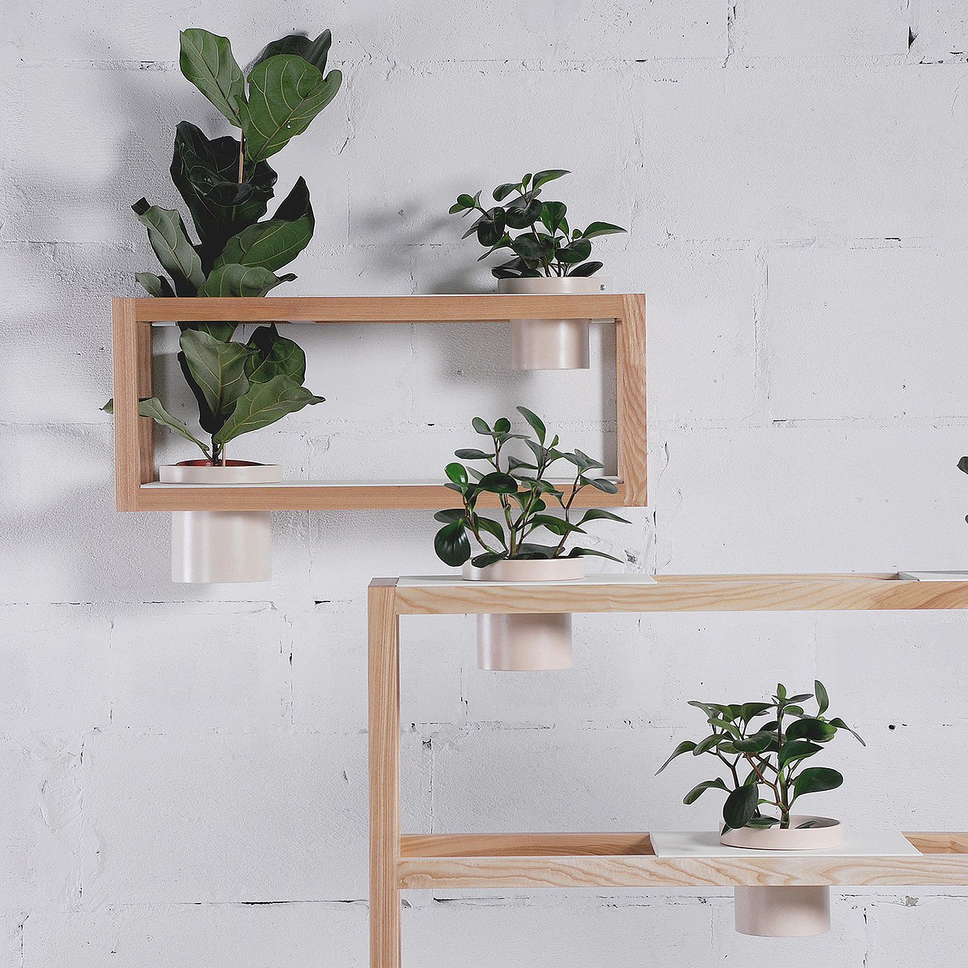 woodiness，Bracket，Sky garden，Flowerpot，