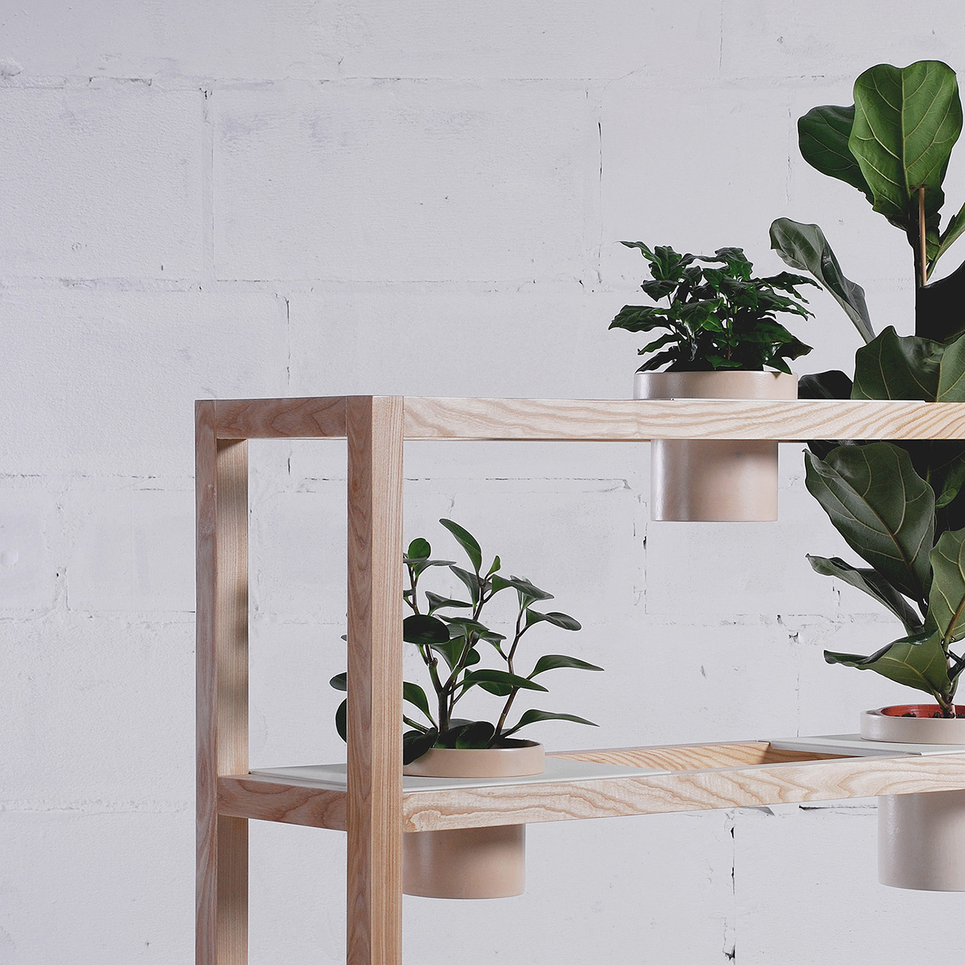 woodiness，Bracket，Sky garden，Flowerpot，