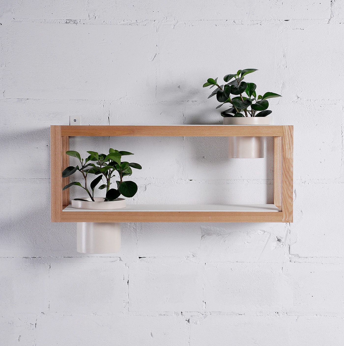 woodiness，Bracket，Sky garden，Flowerpot，