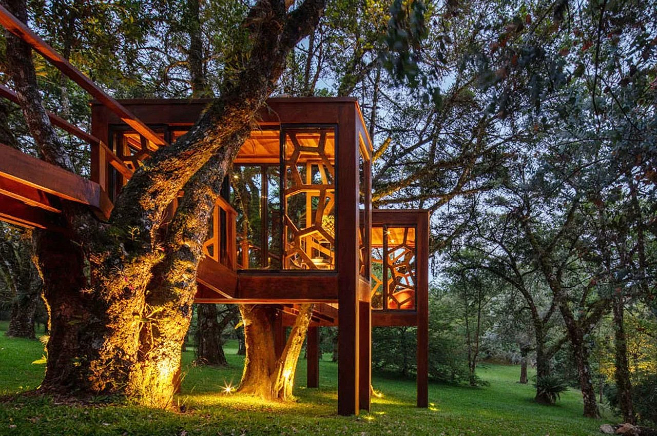 Architectural design，Appearance design，Library，exquisite，