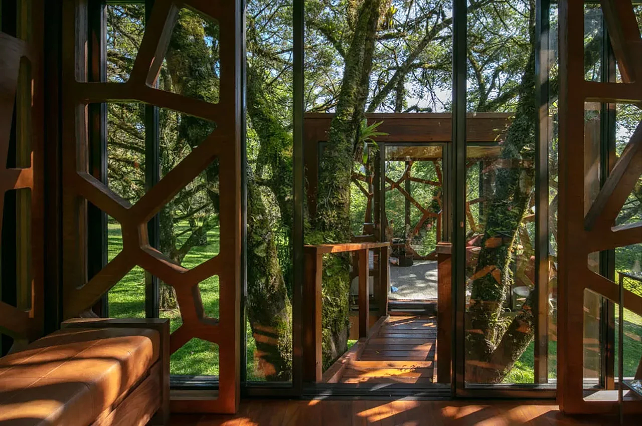 Architectural design，Appearance design，Library，exquisite，