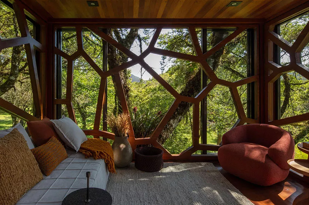 Architectural design，Appearance design，Library，exquisite，