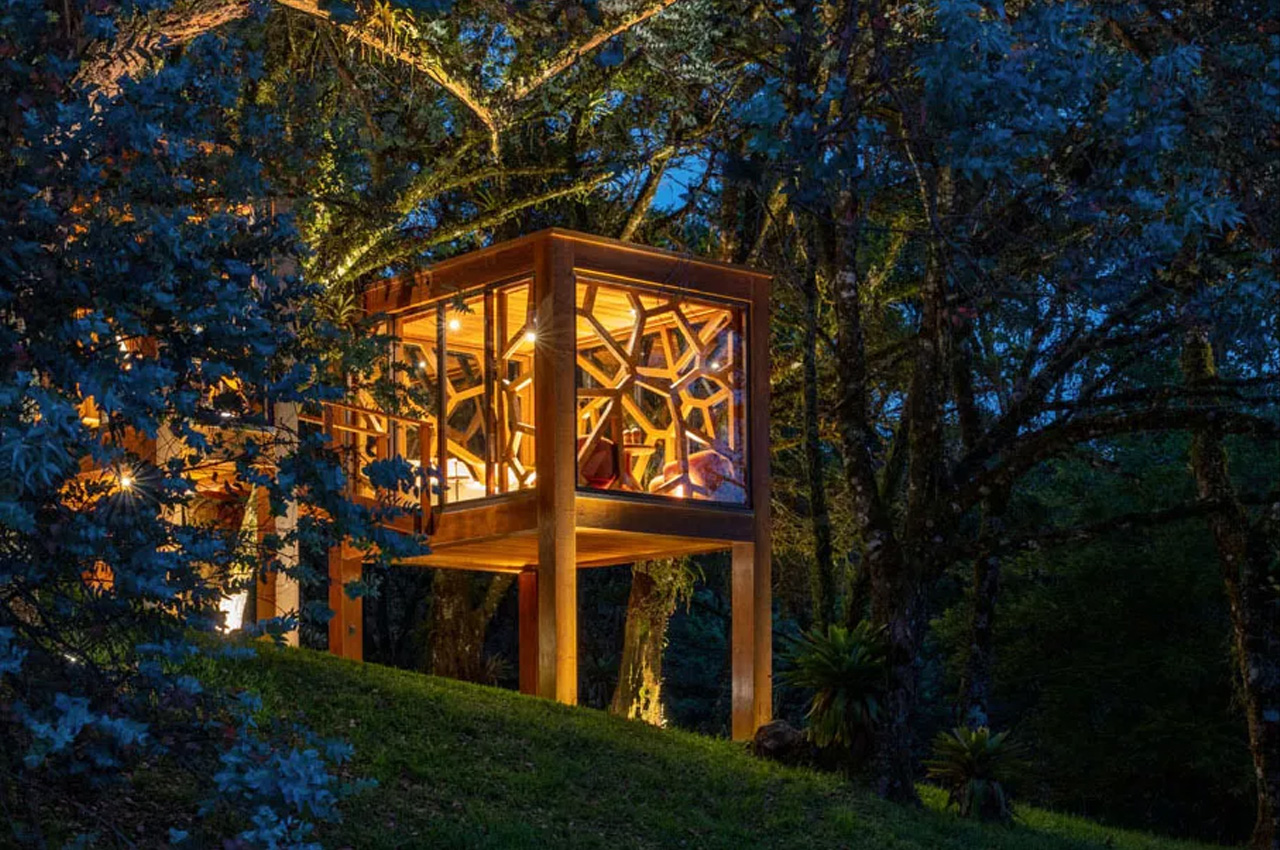 Architectural design，Appearance design，Library，exquisite，