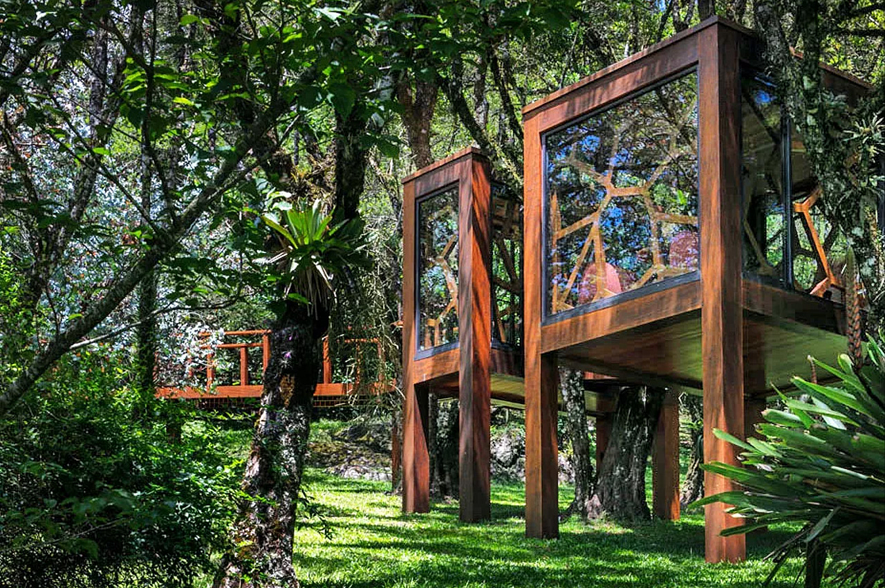 Architectural design，Appearance design，Library，exquisite，