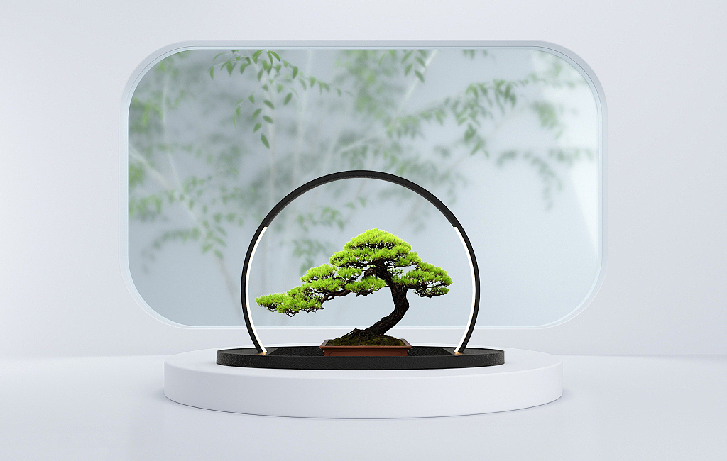 lamp，decorate，Bonsai ornaments，Chinese style，lighting，