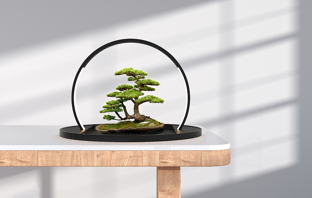 lamp，decorate，Bonsai ornaments，Chinese style，lighting，